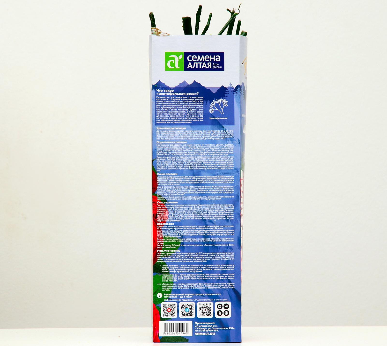 Саженец розы Адажио Серия 