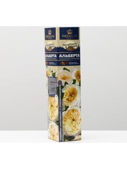 Саженец розы Альберта, 1 шт, Весна 2024