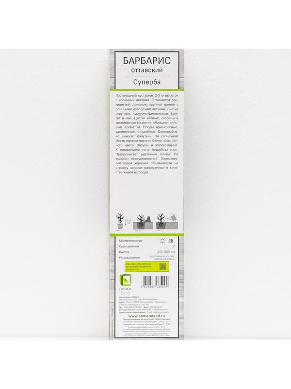 Барбарис оттавский 