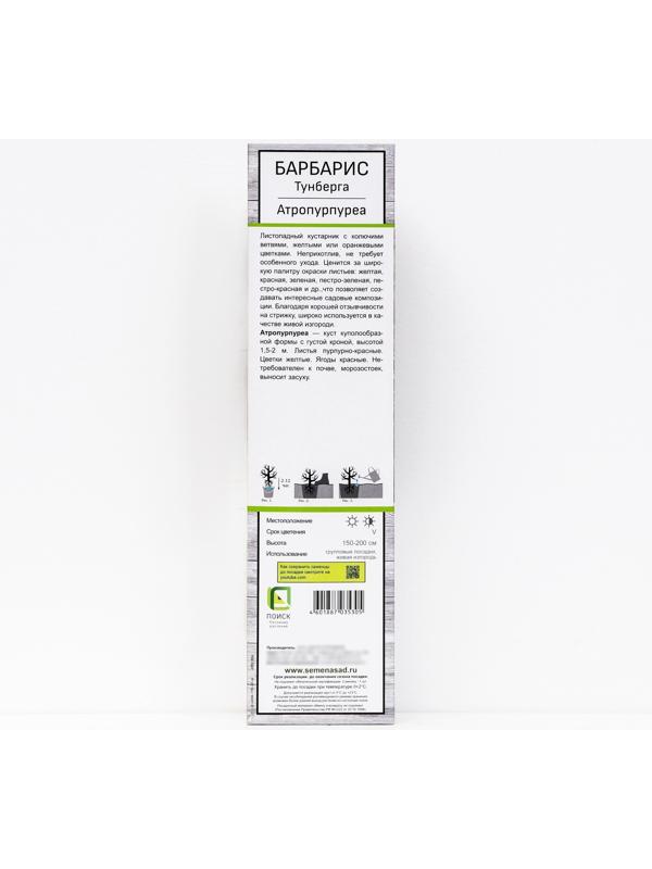 Барбарис Тунберга 