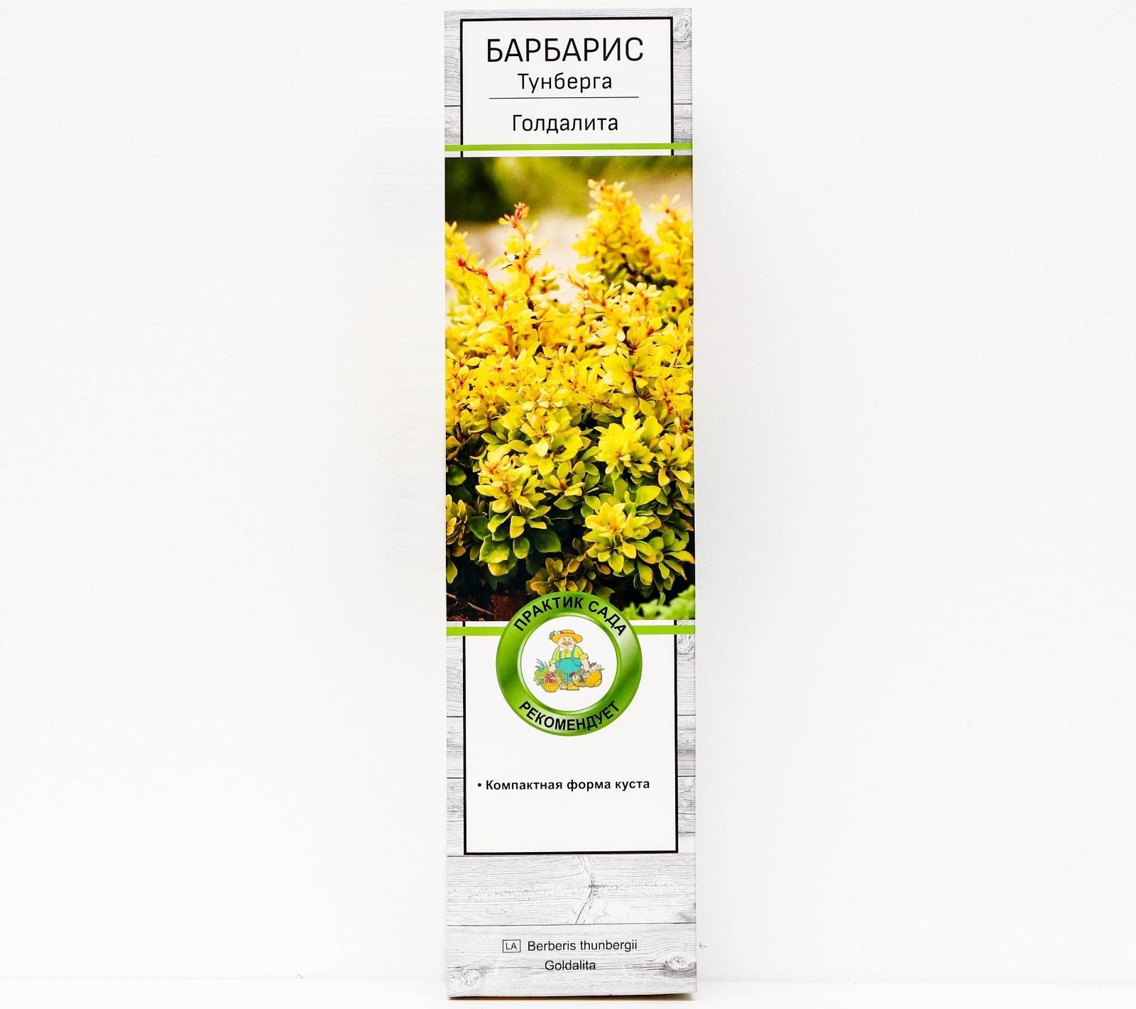 Барбарис Тунберга 