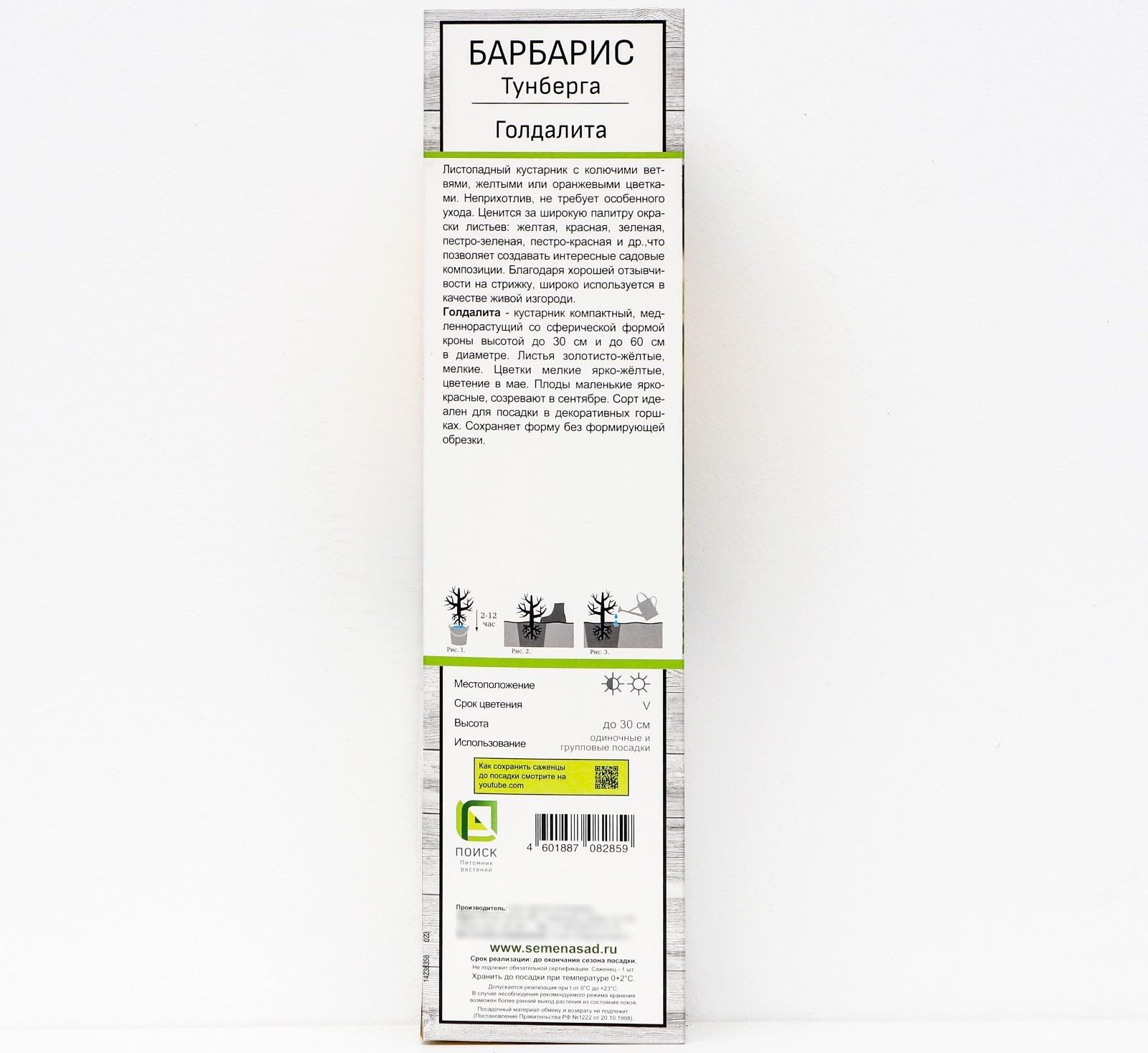 Барбарис Тунберга 