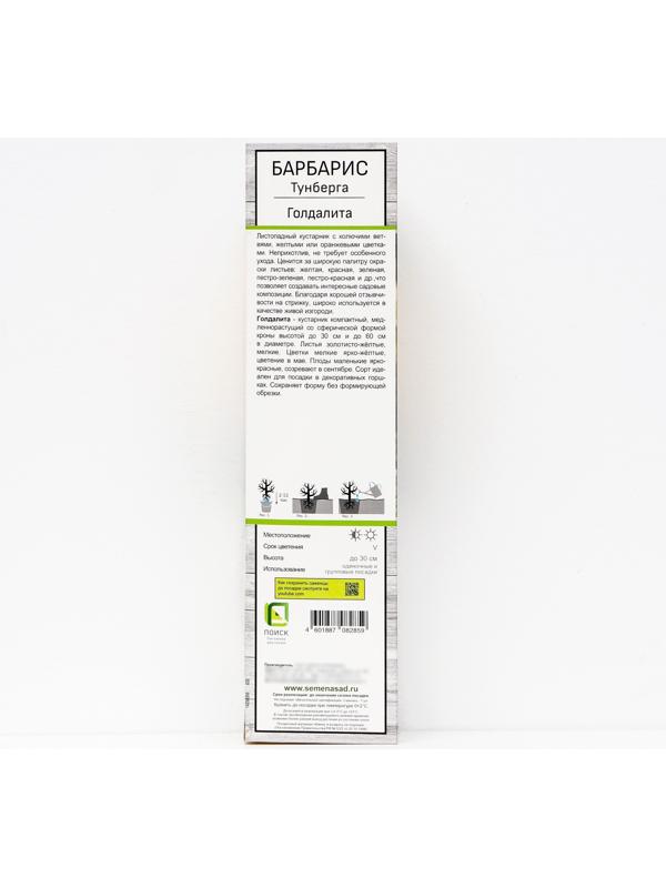 Барбарис Тунберга 