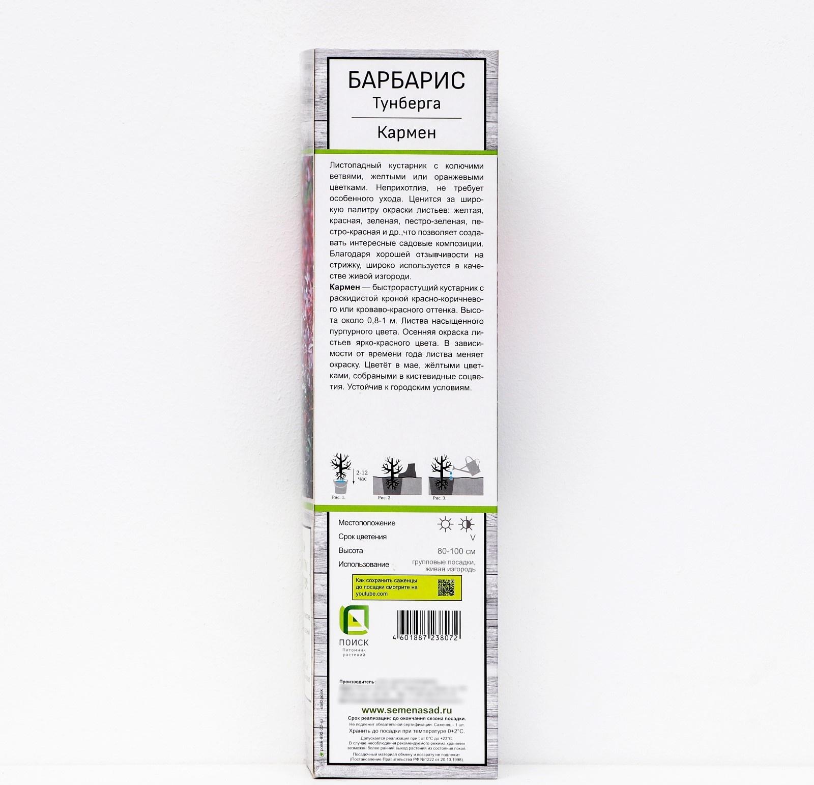 Барбарис Тунберга 