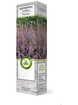 Барбарис Тунберга 