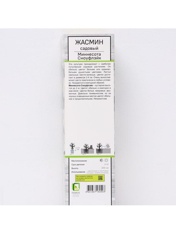 Жасмин садовый (Чубушник) 