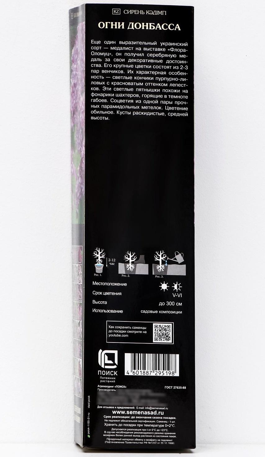 Сирень обыкновенная 