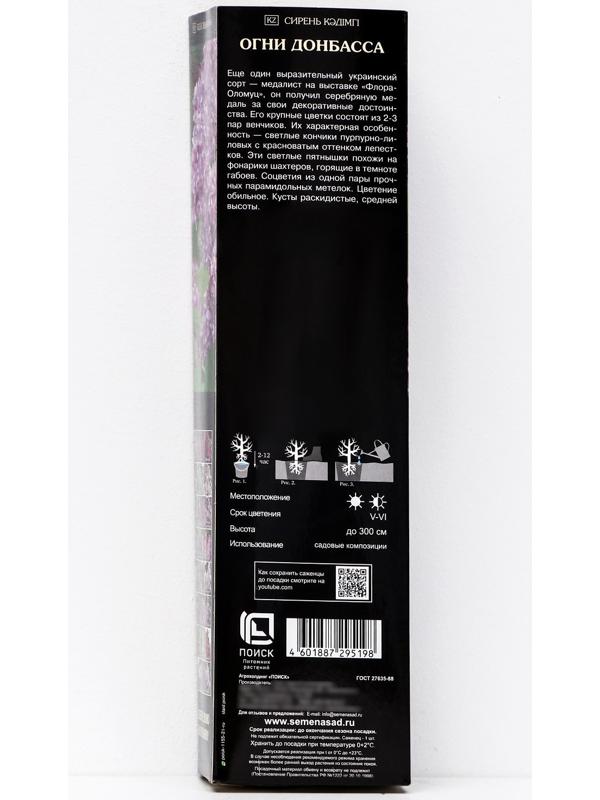 Сирень обыкновенная 