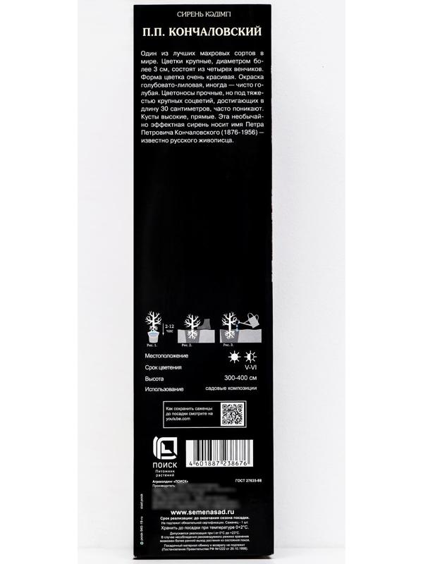 Сирень обыкновенная 