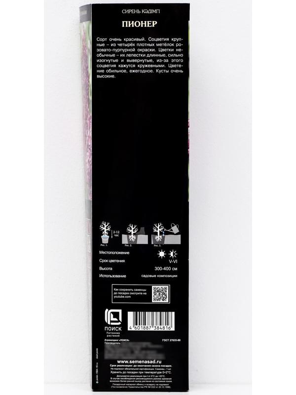 Сирень обыкновенная 