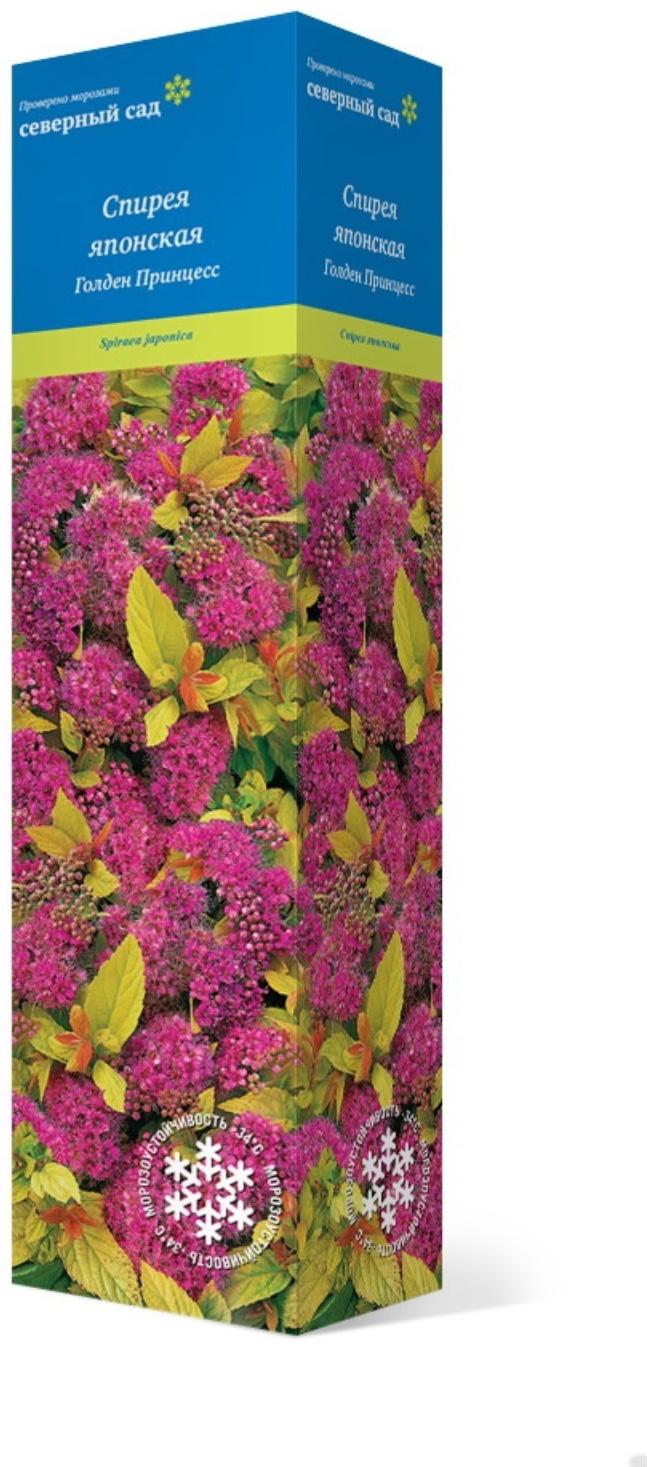 Спирея японская (Серия Северный сад) 