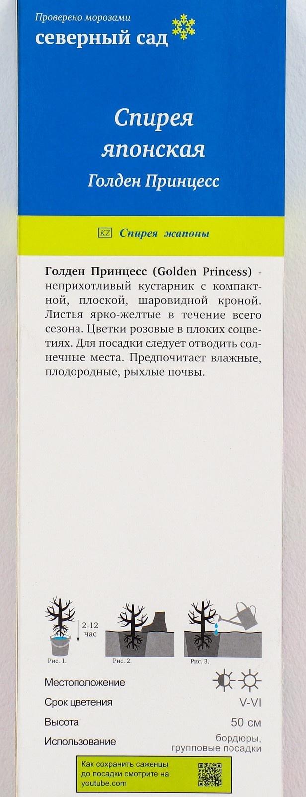 Спирея японская (Серия Северный сад) 