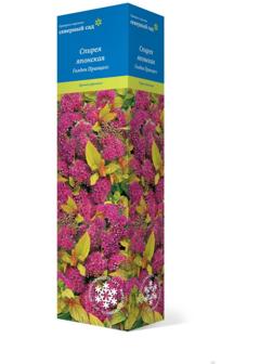 Спирея японская (Серия Северный сад) 