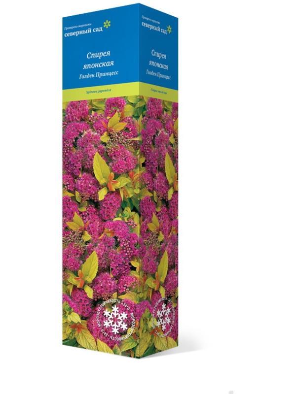 Спирея японская (Серия Северный сад) 