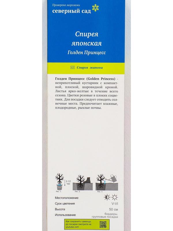 Спирея японская (Серия Северный сад) 