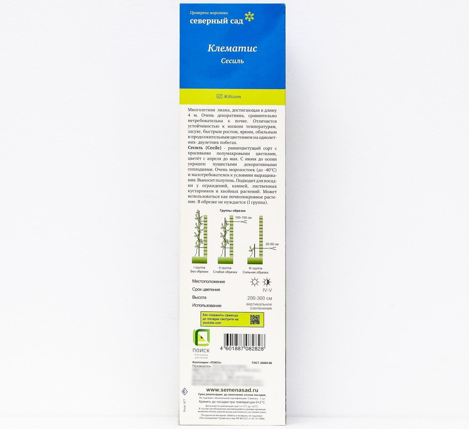 Клематис ботанический (Серия Северный сад) 