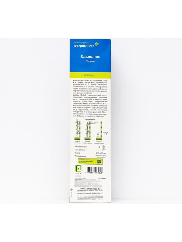 Клематис ботанический (Серия Северный сад) 