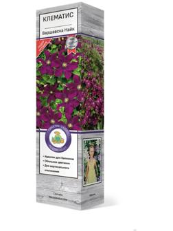Клематис крупноцветковый 