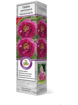 Пион древовидный (привитый на травянистый) 