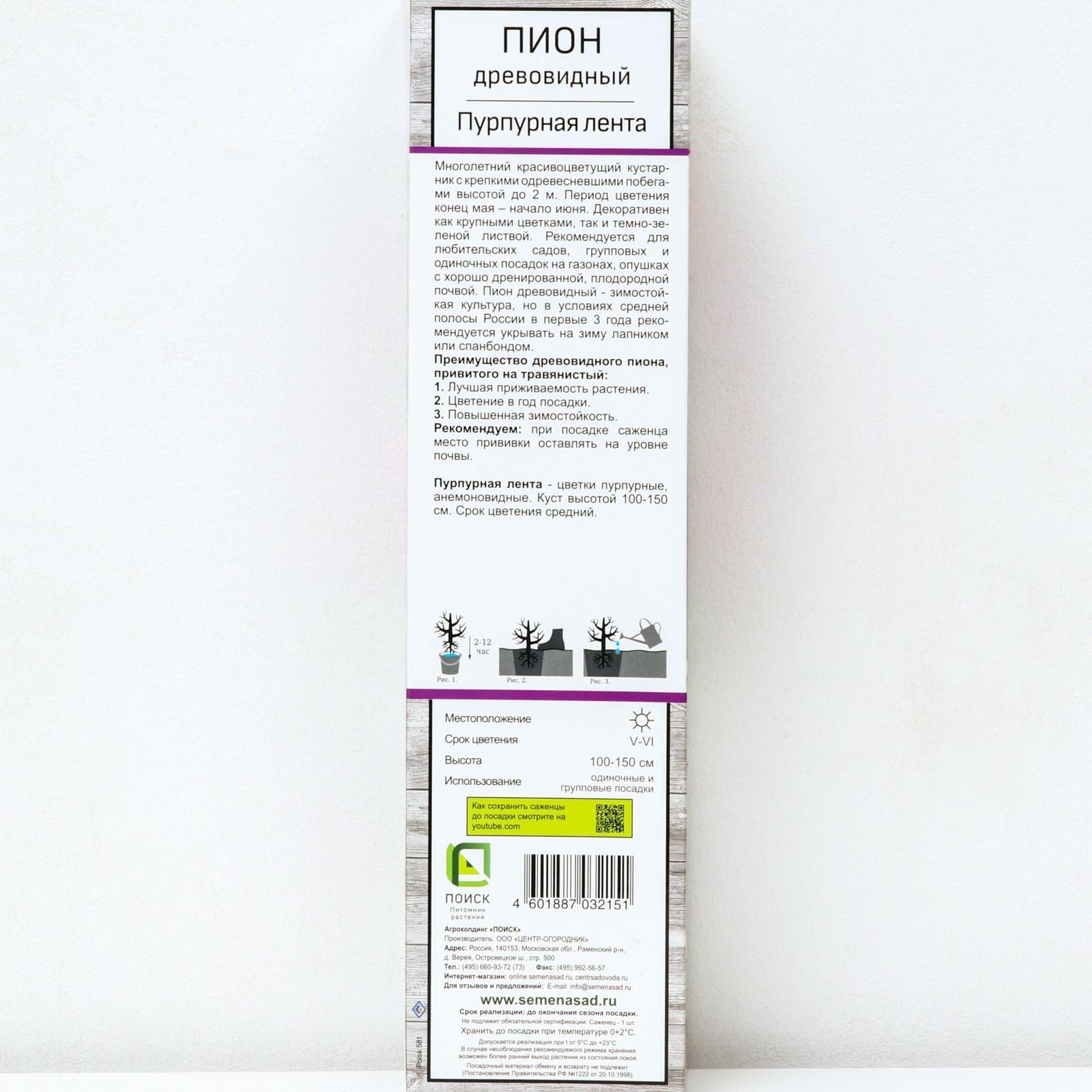 Пион древовидный (привитый на травянистый) 