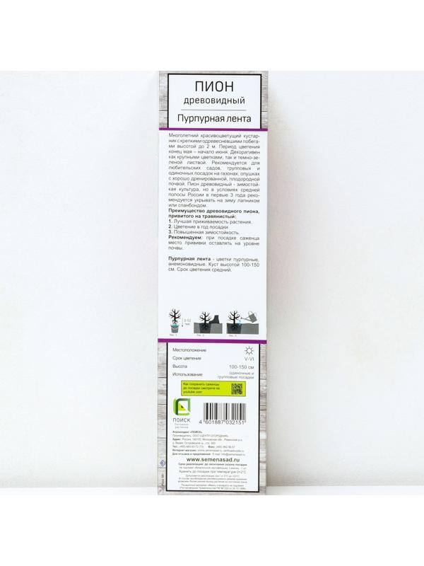 Пион древовидный (привитый на травянистый) 