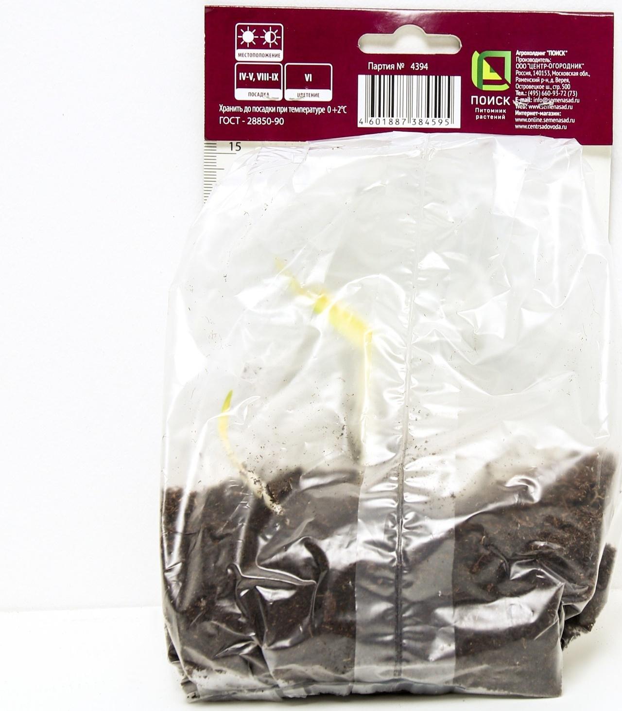 Ирис сибирский Галлз Уинг, I р-р, 1 шт. 90 h(см), Весна 2024