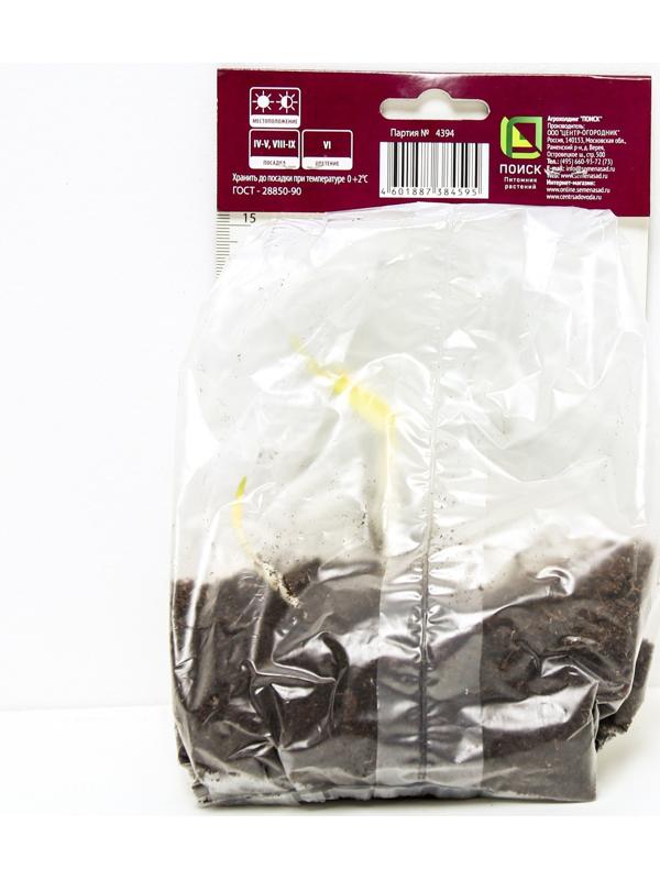 Ирис сибирский Галлз Уинг, I р-р, 1 шт. 90 h(см), Весна 2024