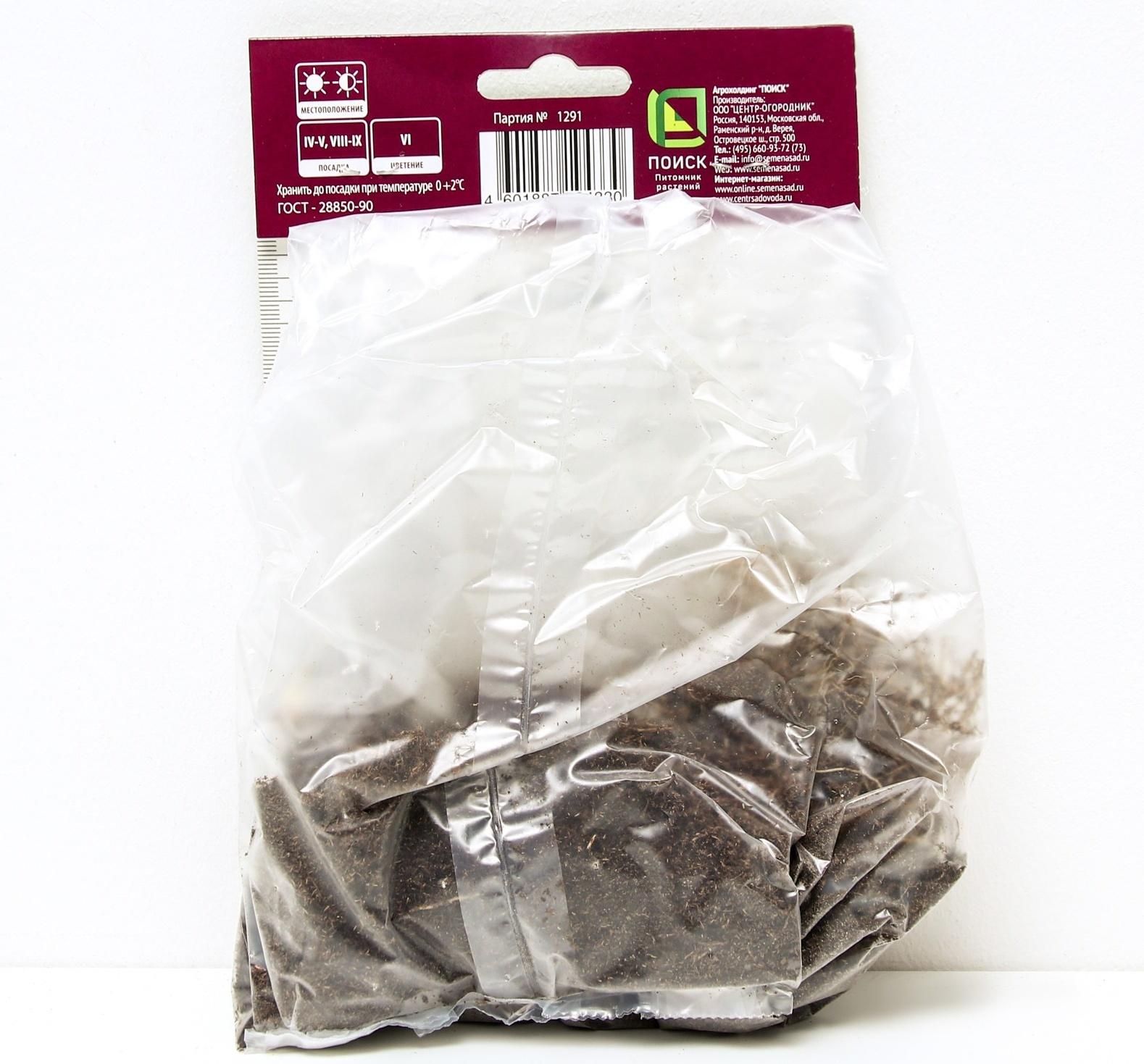 Ирис сибирский Каблуе, I р-р, 1 шт. 70 h(см), Весна 2024