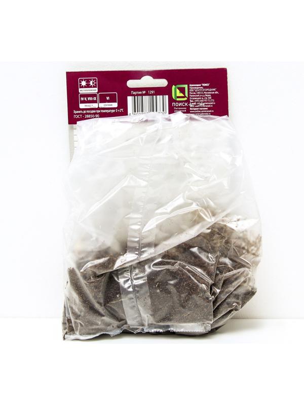 Ирис сибирский Каблуе, I р-р, 1 шт. 70 h(см), Весна 2024