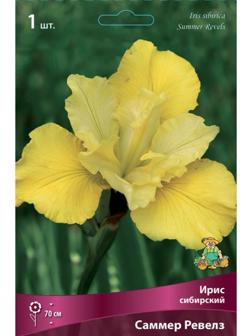 Ирис сибирский Саммер Ревелз, I р-р, 1 шт. 70 h(см), Весна 2024