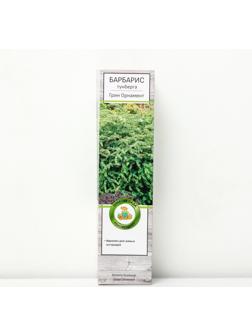 Барбарис Тунберга 