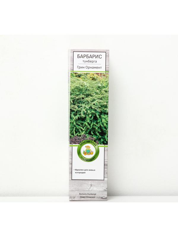 Барбарис Тунберга 