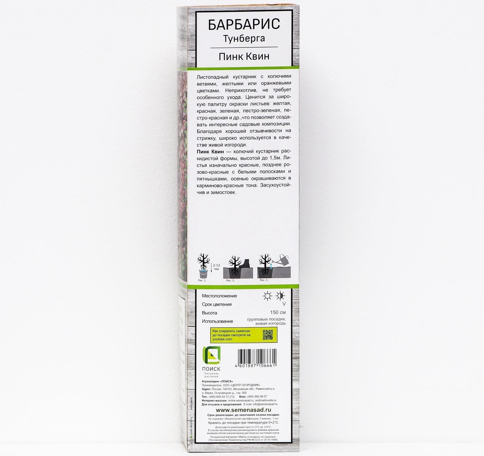 Барбарис Тунберга 