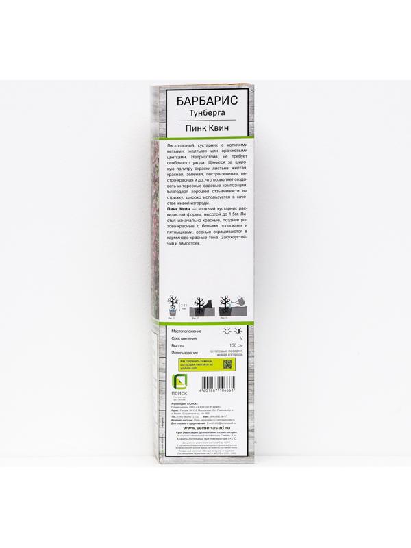 Барбарис Тунберга 