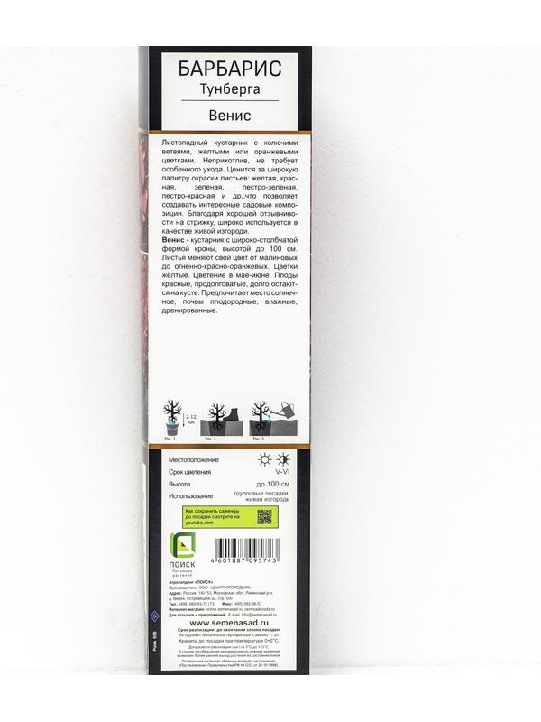 Барбарис Тунберга Люкс 
