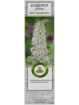 Буддлея Давида 