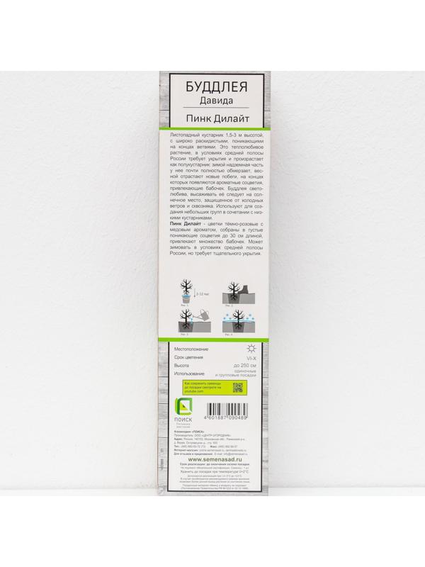 Буддлея Давида 