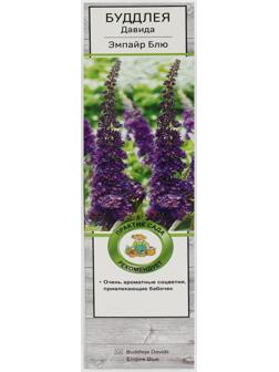 Буддлея Давида 