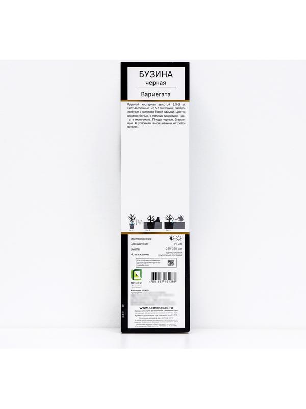 Бузина черная Люкс 