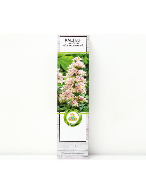 Каштан конский обыкновенный 