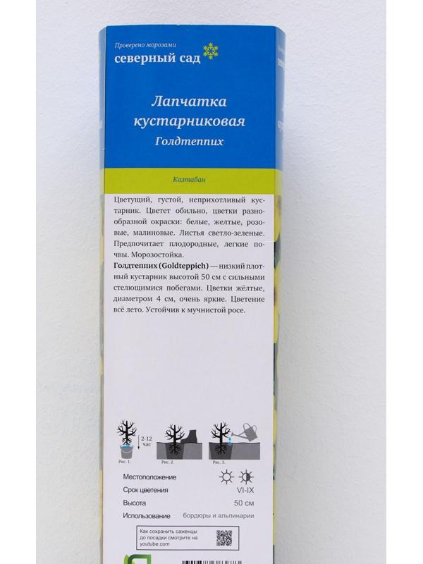 Лапчатка кустарниковая (Серия Северный сад) 