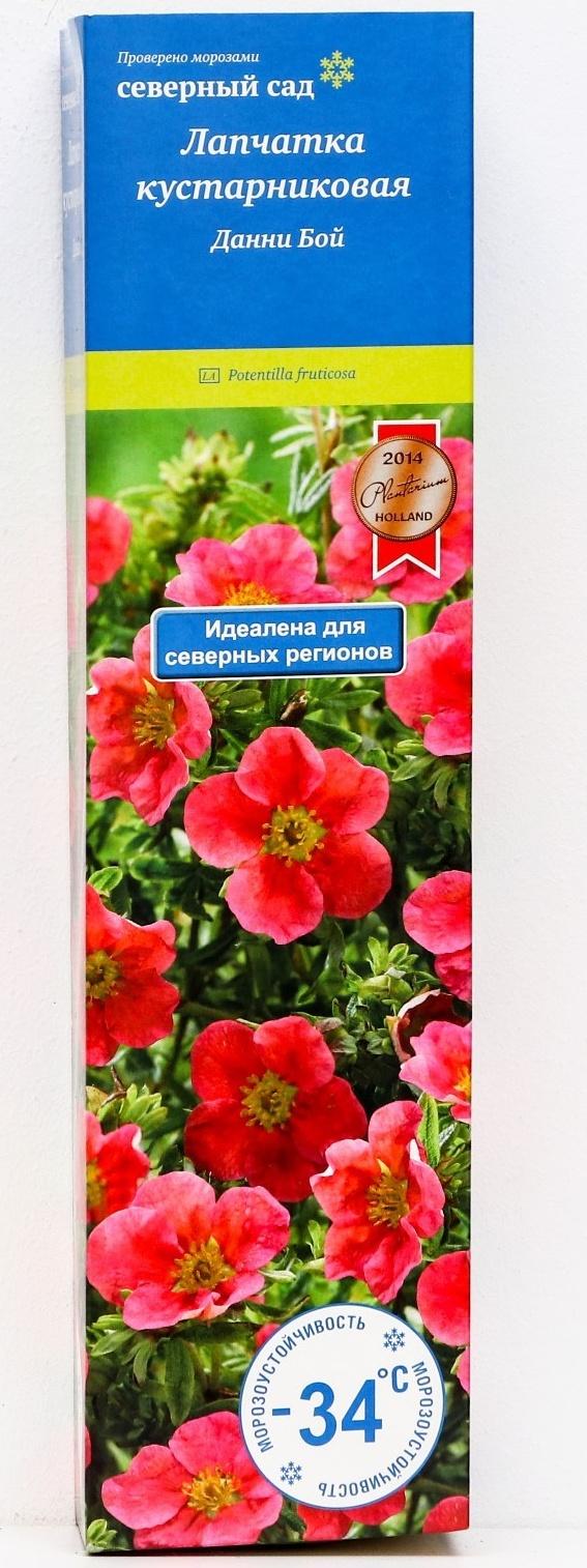 Лапчатка кустарниковая (Серия Северный сад) 