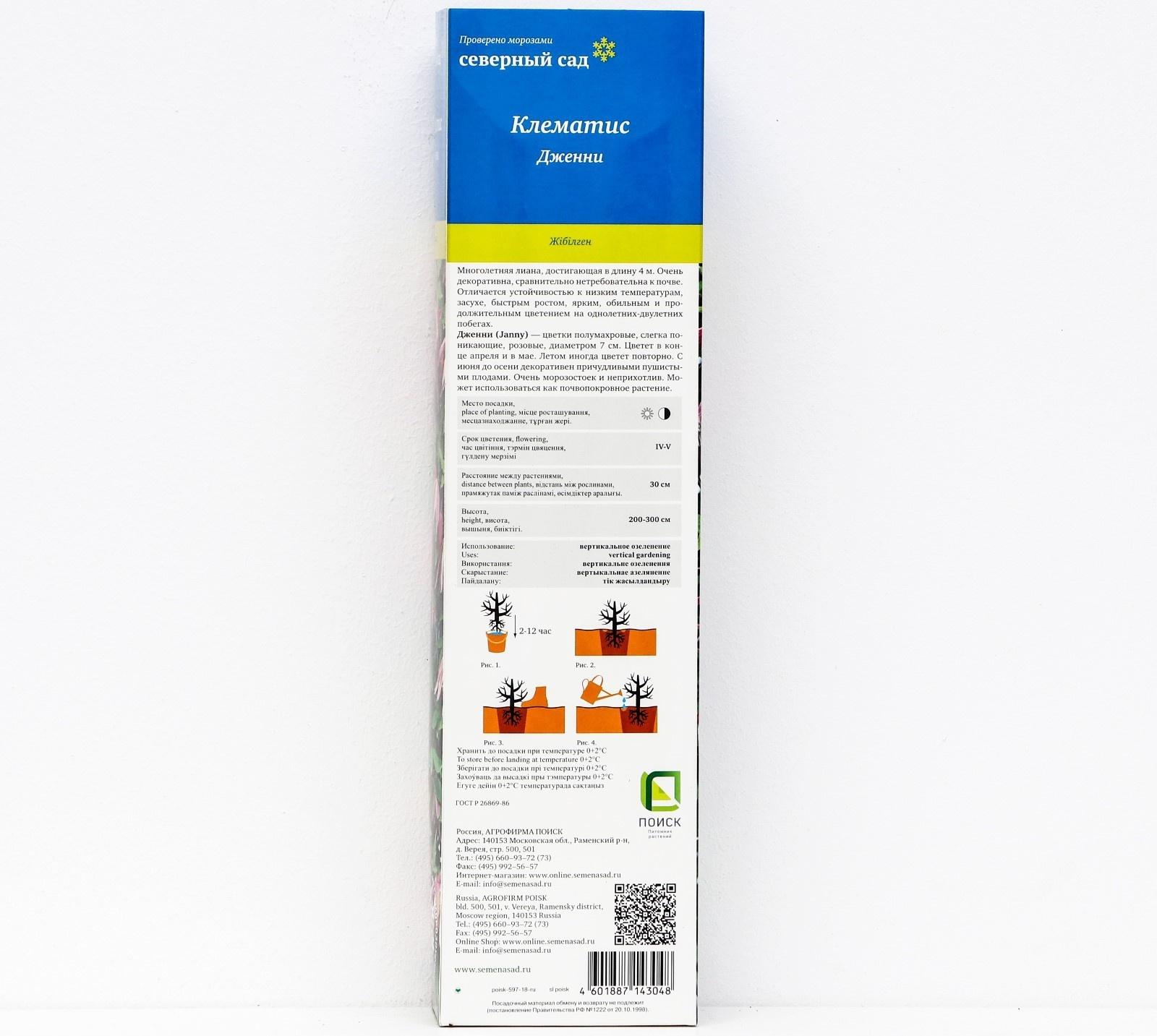 Клематис ботанический (Серия Северный сад) 