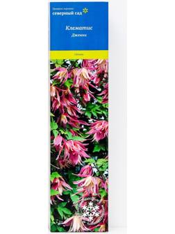 Клематис ботанический (Серия Северный сад) 