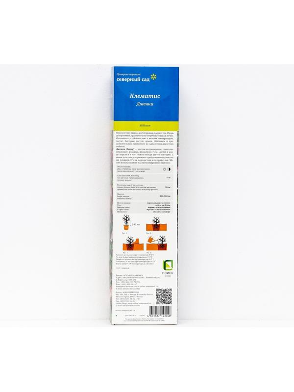 Клематис ботанический (Серия Северный сад) 