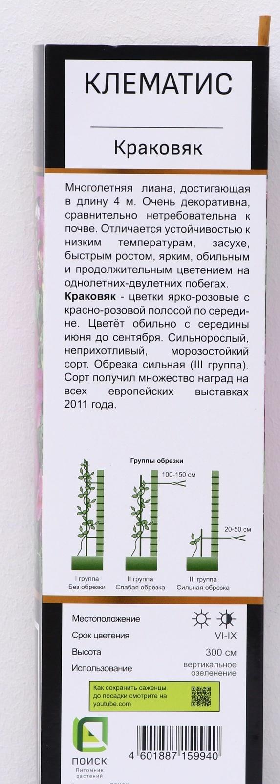 Клематис ботанический Люкс 