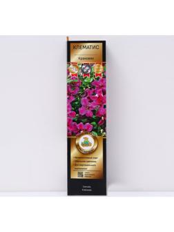 Клематис ботанический Люкс 