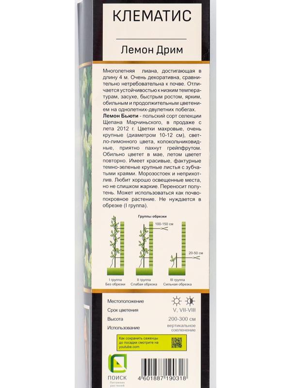 Клематис ботанический Люкс 