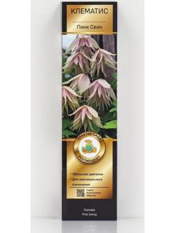 Клематис ботанический Люкс 