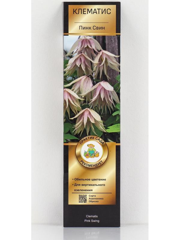 Клематис ботанический Люкс 